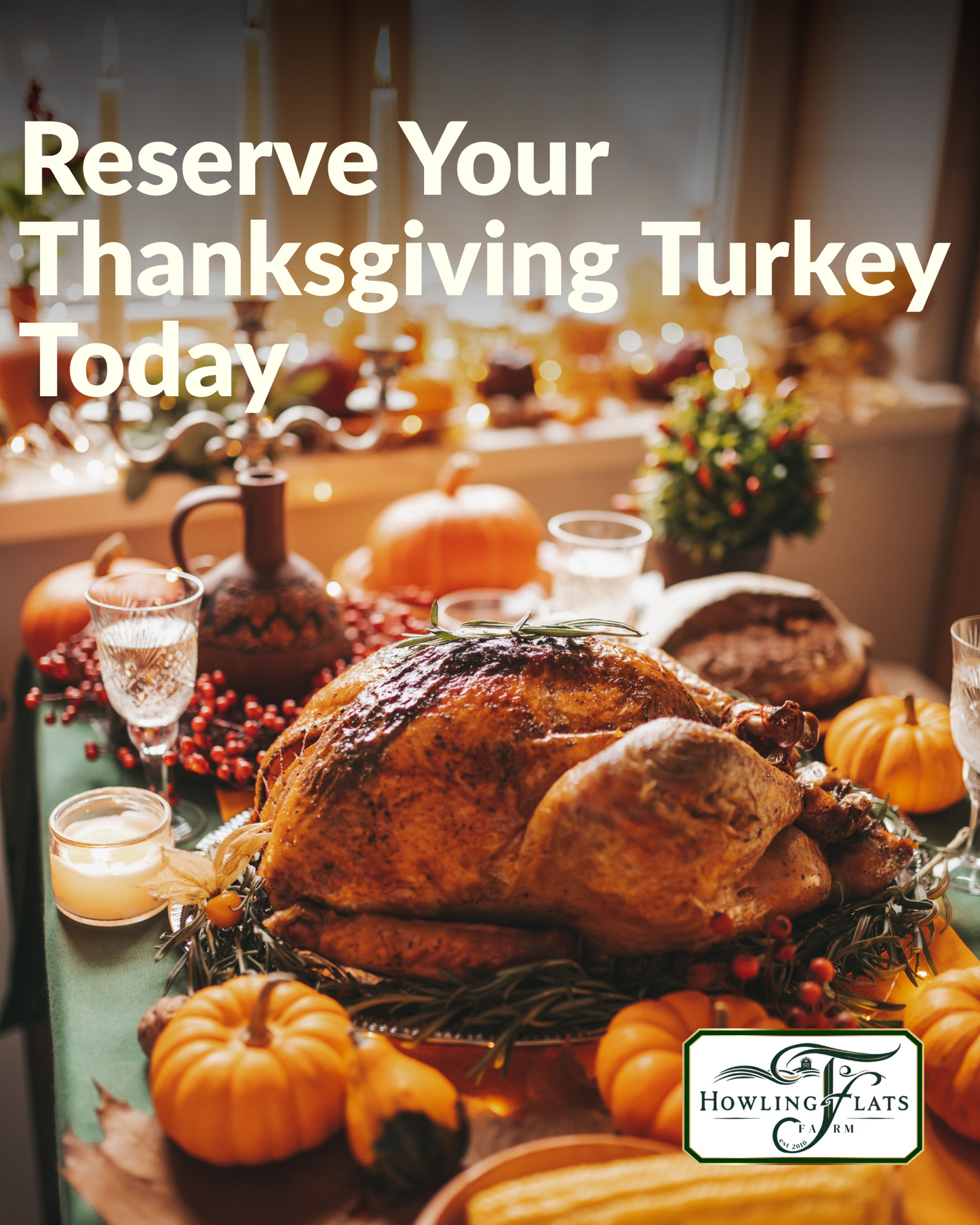PASTURE-RAISED THANKSGIVING TURKEY RESERVATION — $25 DEPOSIT