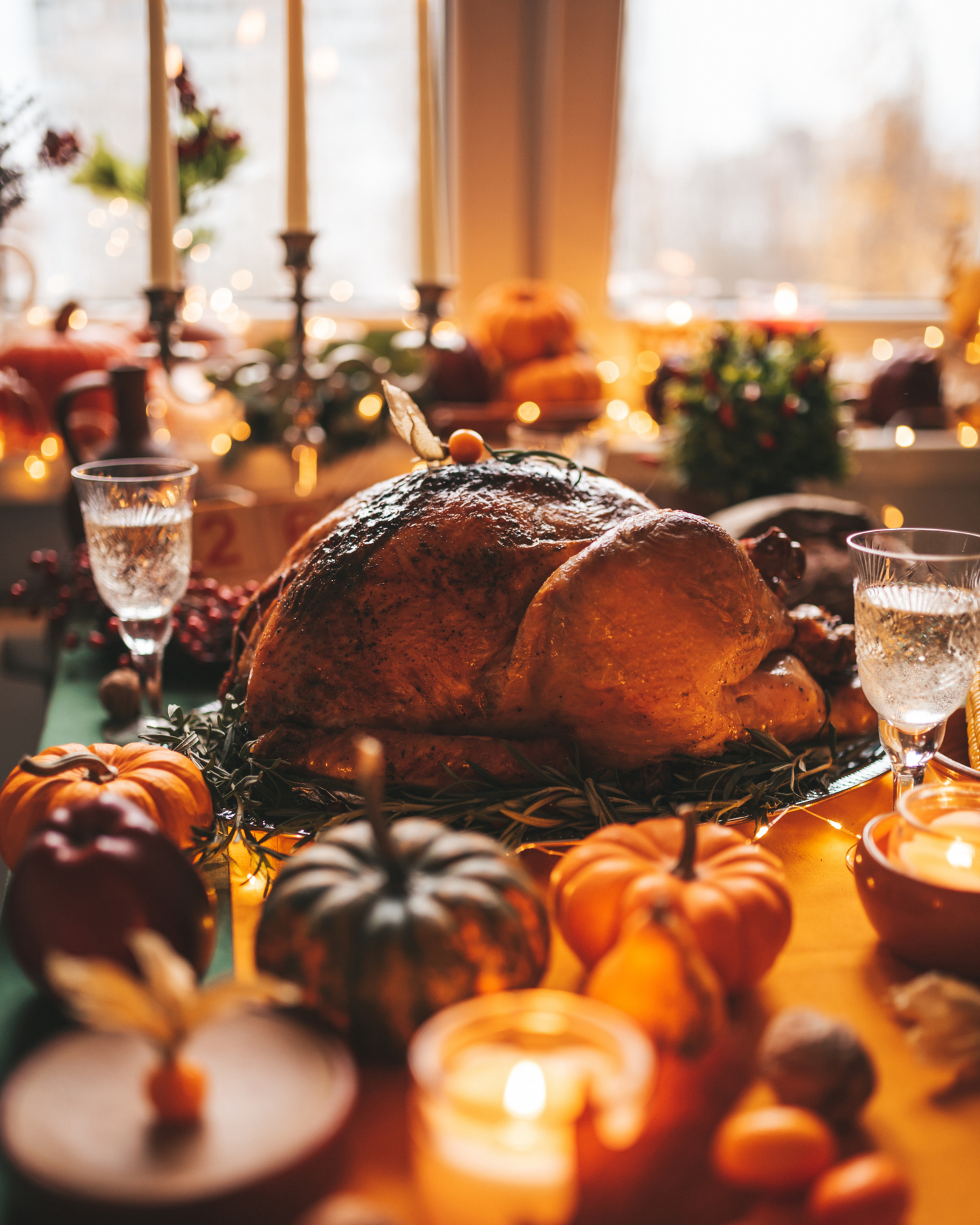 PASTURE-RAISED THANKSGIVING TURKEY RESERVATION — $25 DEPOSIT