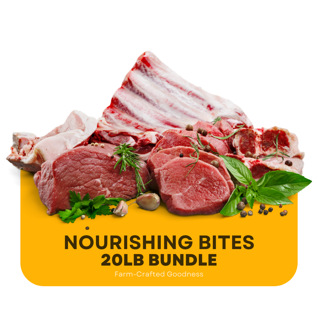 Nourishing Bites